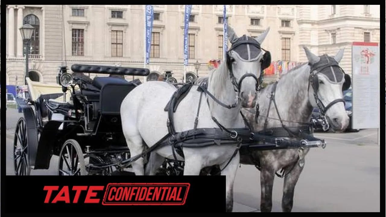 HORSE CARRIAGE VODKA IN VIENNA | Tate Confidential Ep. 71